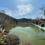 臥竜公園は東京ドーム約6.4個分の広さ♪桜など四季折々の景色が楽しめる人気の公園！