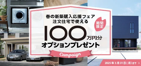 100万ポイントキャンペーン