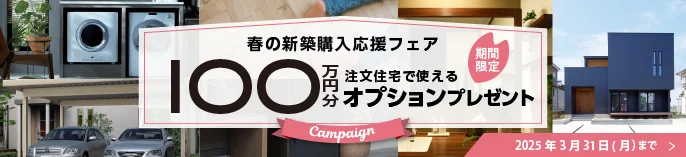 100万ポイントキャンペーン